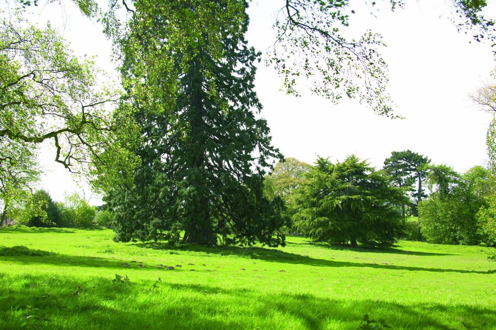 Hotel Woodland Grange Lillington  Exteriér fotografie
