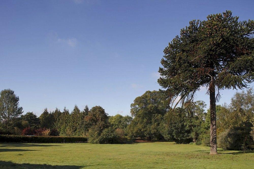 Hotel Woodland Grange Lillington  Exteriér fotografie